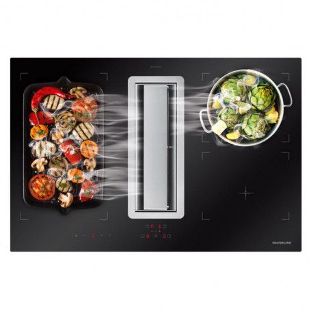 Silverline HOTTE INTéGRéE 40 CM + PLAQUE NOIR INDUCTION 1