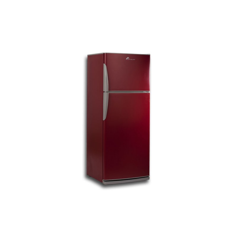 MONTBLANC Réfrigérateur FGE45.2 450L 3