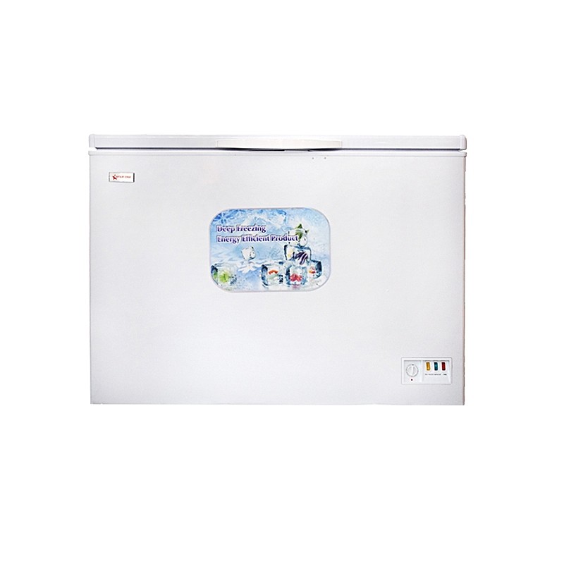 STAR ONE Congélateur HORIZONTAL BD-300 300L AVEC PORTE Intérieur Vitré 300L 1