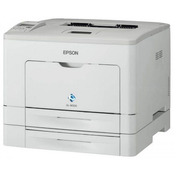 EPSON WorKForce AL-M300DT 2