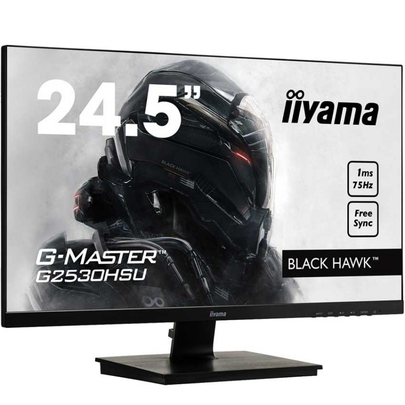 Iiyama ECRAN G-MASTER BLACK HAWK 24.5