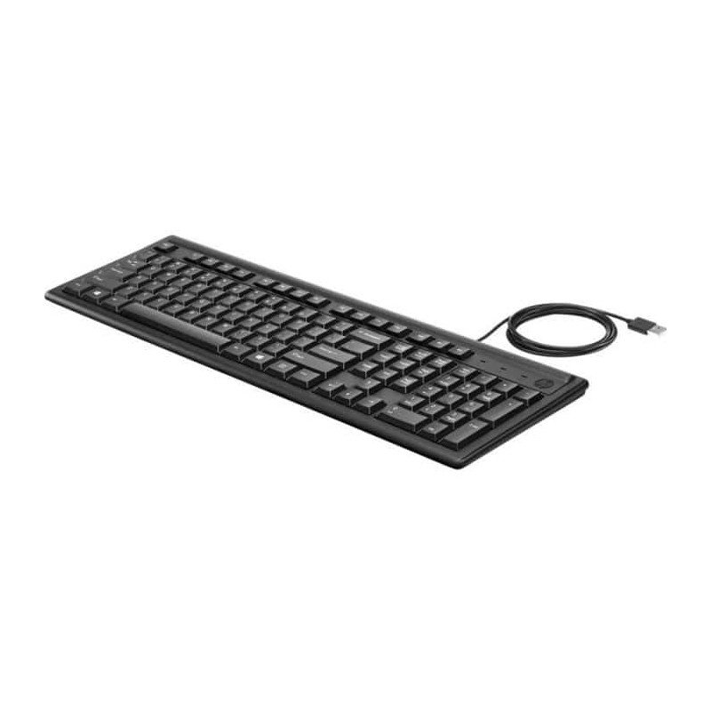 HP CLAVIER FILAIRE 100 2UN30AA USB - NOIR 2