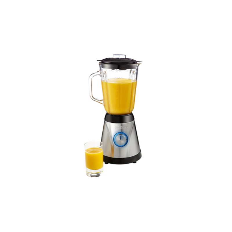 PRINCESS BLENDER 212023 800W 2