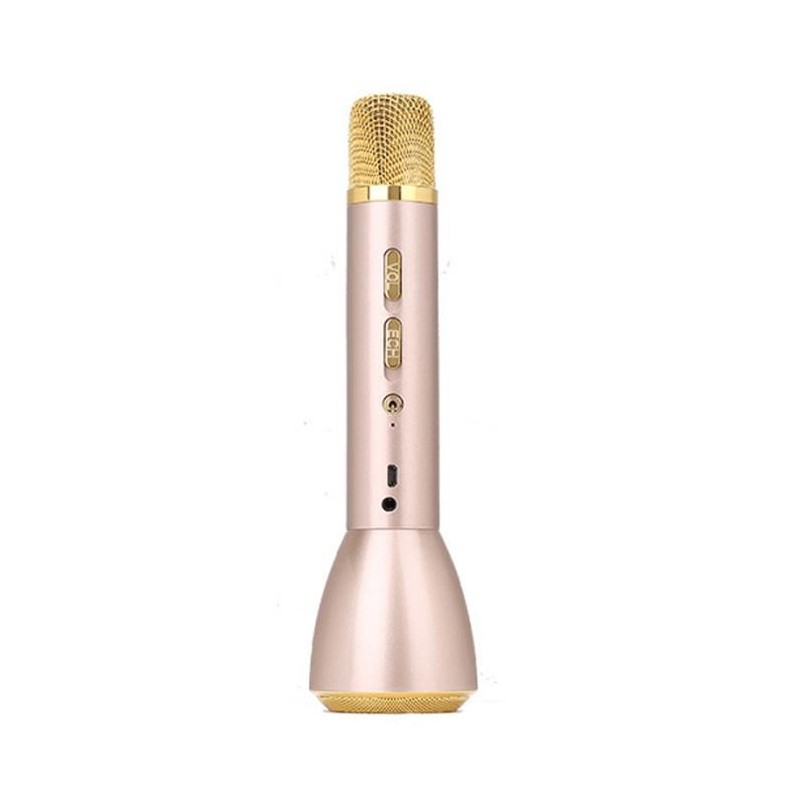 CLIPSONIC Magic Karaoke Microphone-1129 2