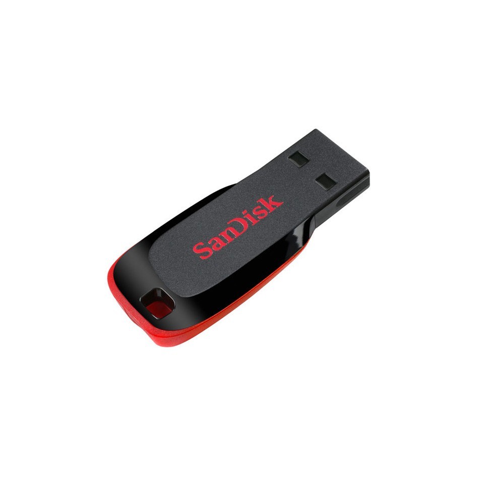 SANDISK FLASH DISQUE 4GO SDCZ52-4G 1