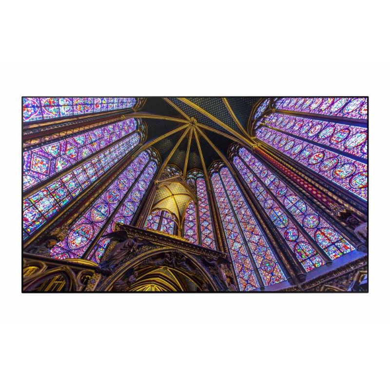 SAMSUNG ECRAN PROFESSIONNEL D'AFFICHAGE QLED 65